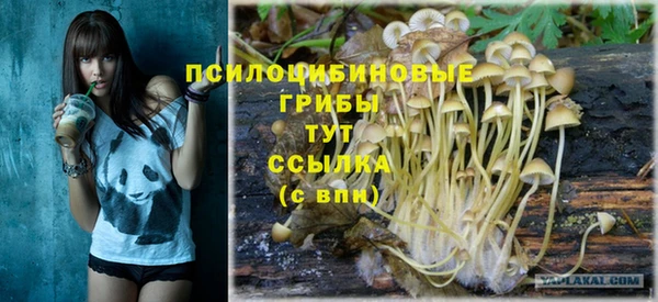 твердый Гусиноозёрск