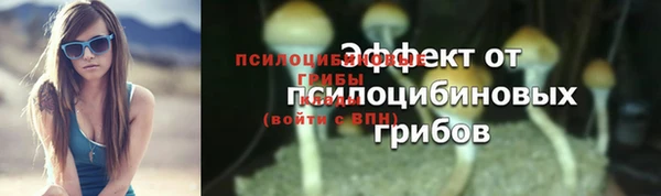 ГАЛЛЮЦИНОГЕННЫЕ ГРИБЫ Гусь-Хрустальный