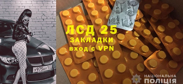 ГАЛЛЮЦИНОГЕННЫЕ ГРИБЫ Гусь-Хрустальный