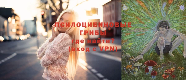 Альфа ПВП Гусев