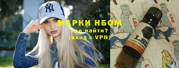 ГАЛЛЮЦИНОГЕННЫЕ ГРИБЫ Гусь-Хрустальный